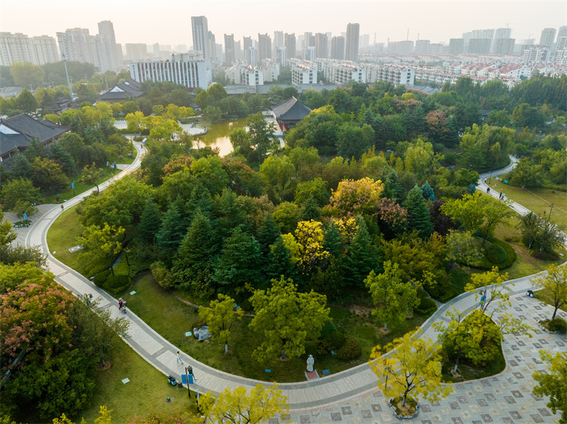 青岛城阳国学公园:赏秋色 品古韵-青岛西海岸新闻网