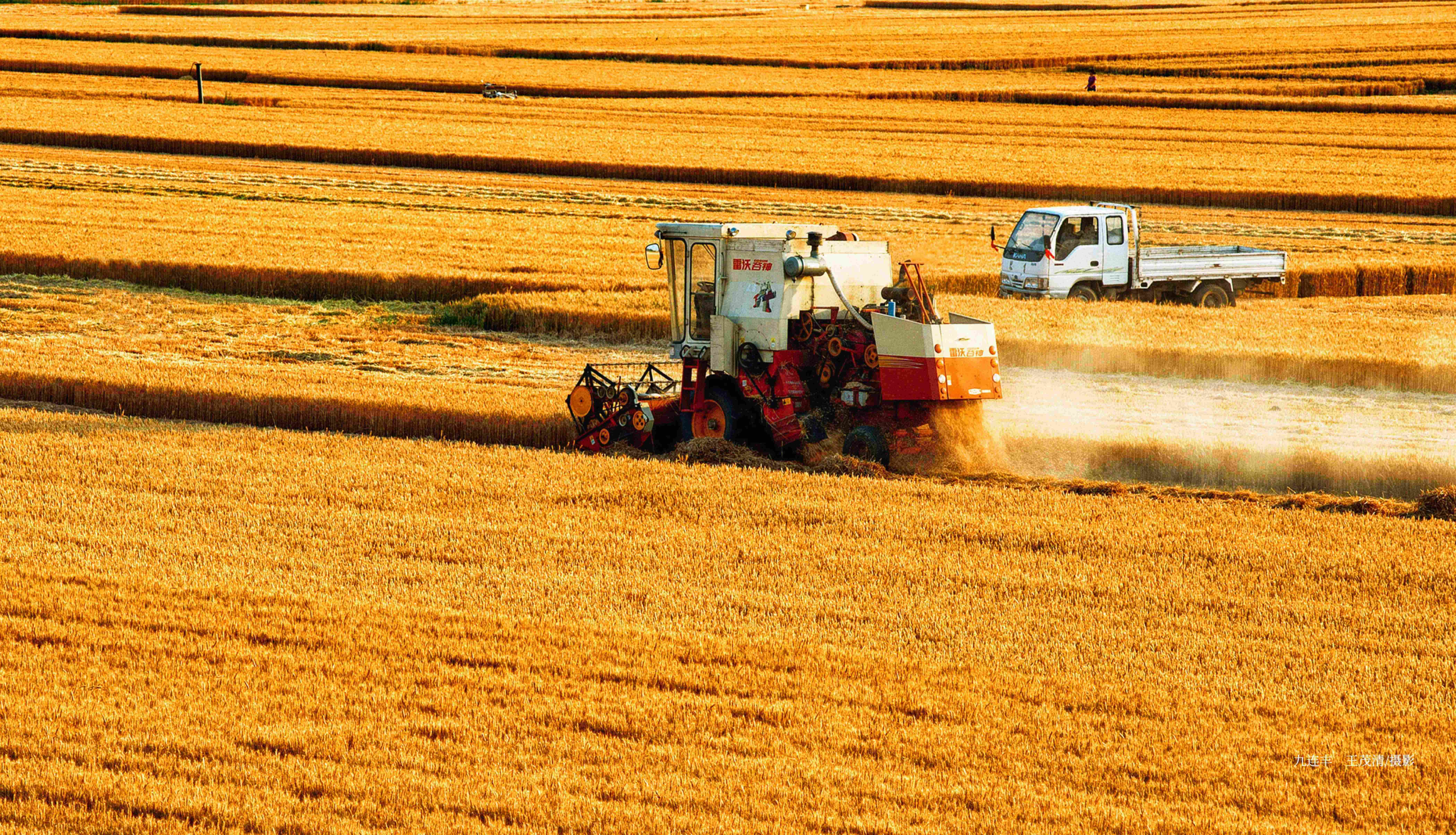 淄博市淄川区建设有淄有味的乡村振兴齐鲁样板
