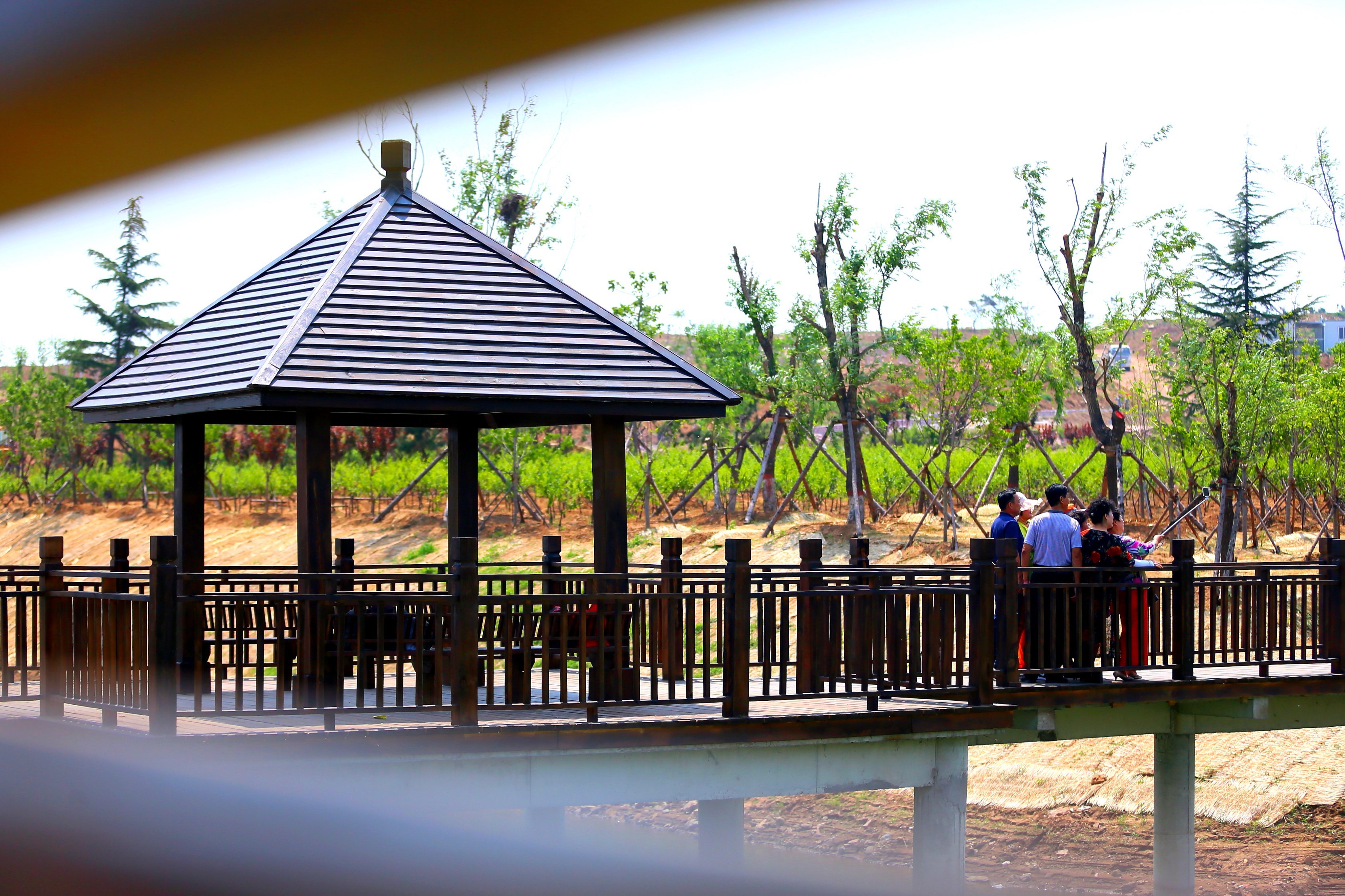 闪电号>媒体>云上胶州>在建设美丽乡村的同时,前南庄村党支部按照"