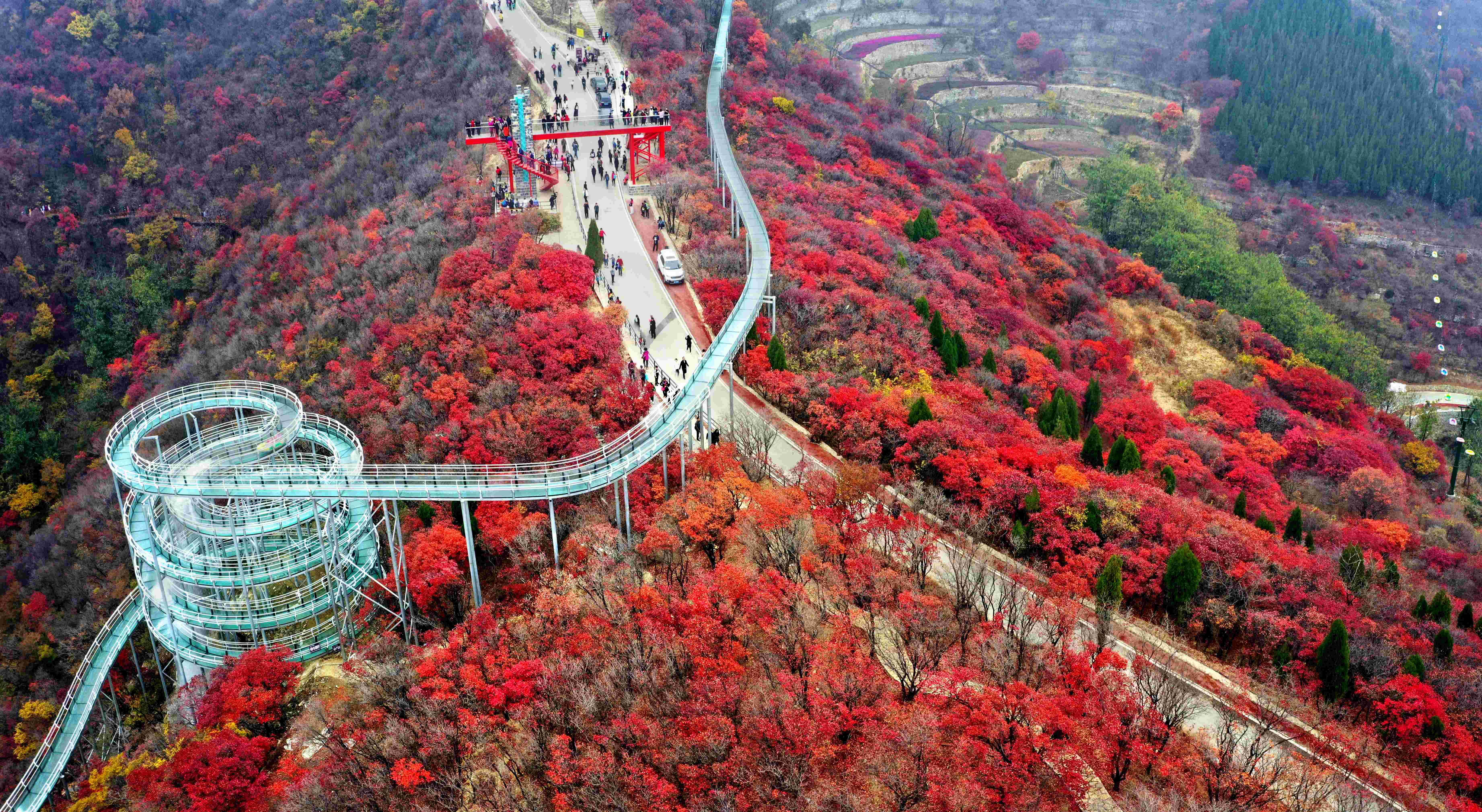 淄川红叶景点大全图片