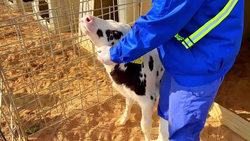 禹城市绿色种养循环农业牛劲足