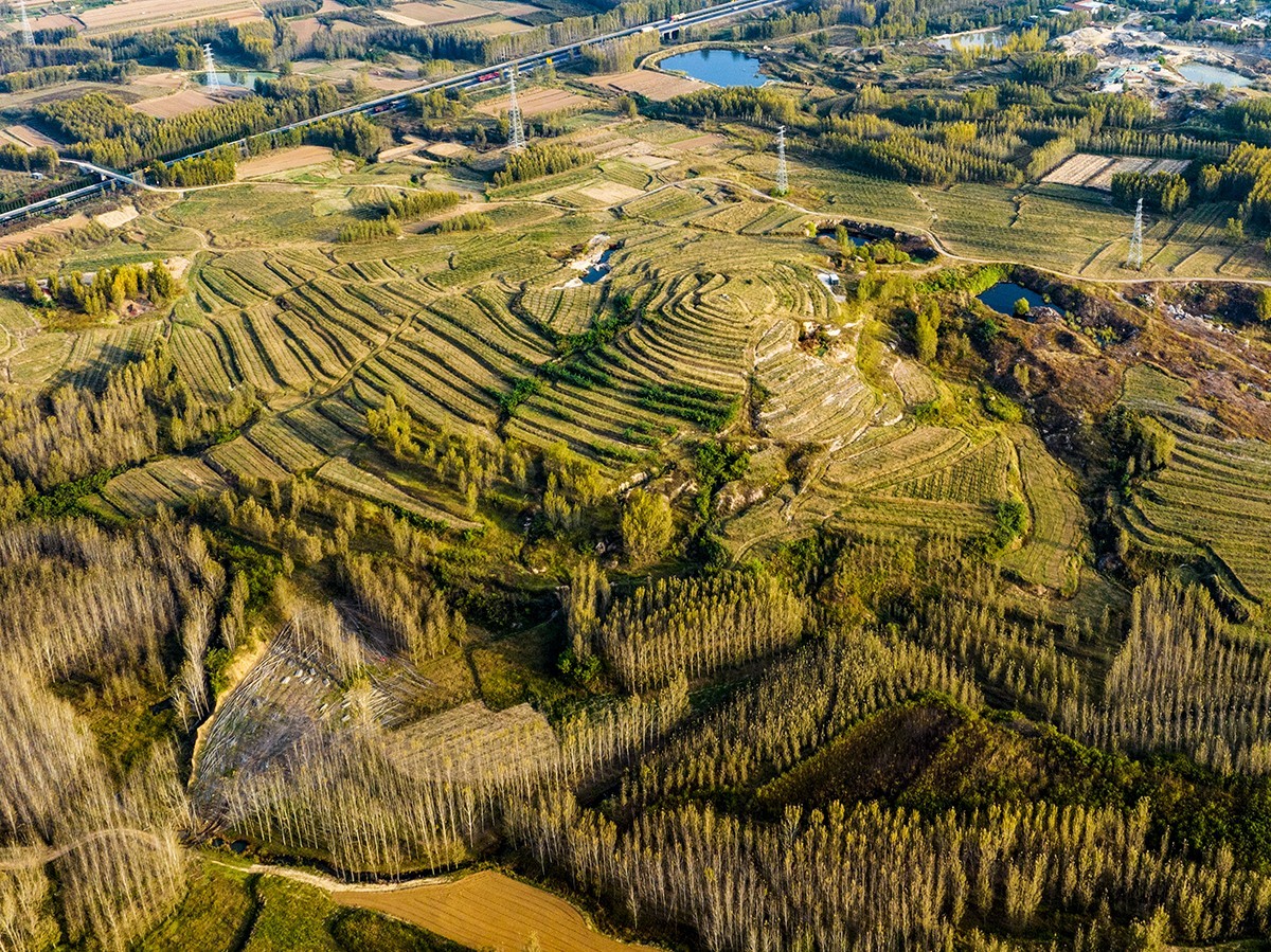 青岛胶州市洋河镇:梯田秋色醉人心