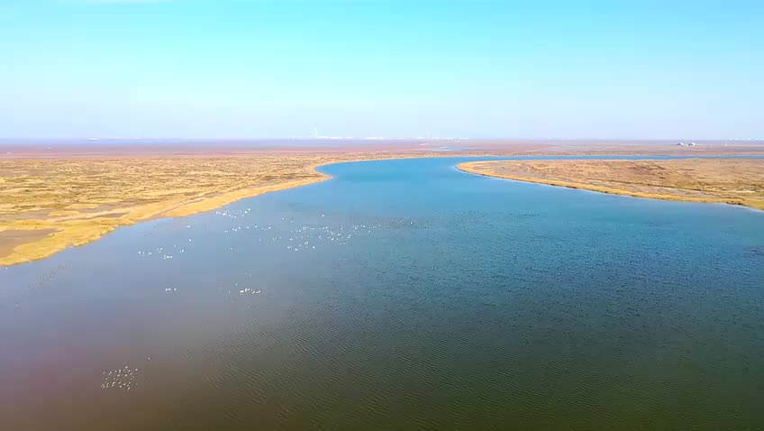 黄河三角洲湿地面积图片