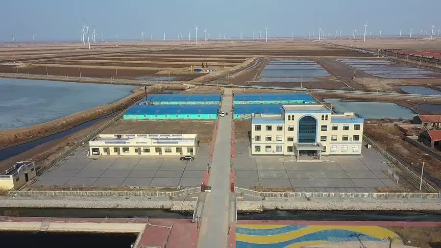 东营市利津县现代化养鱼奏响乡村振兴新渔歌