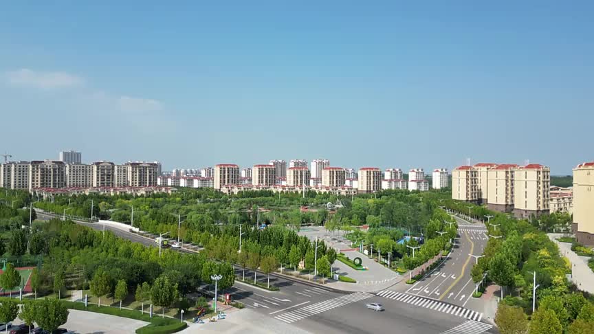 东营市利津县学子返家乡喜看新变化