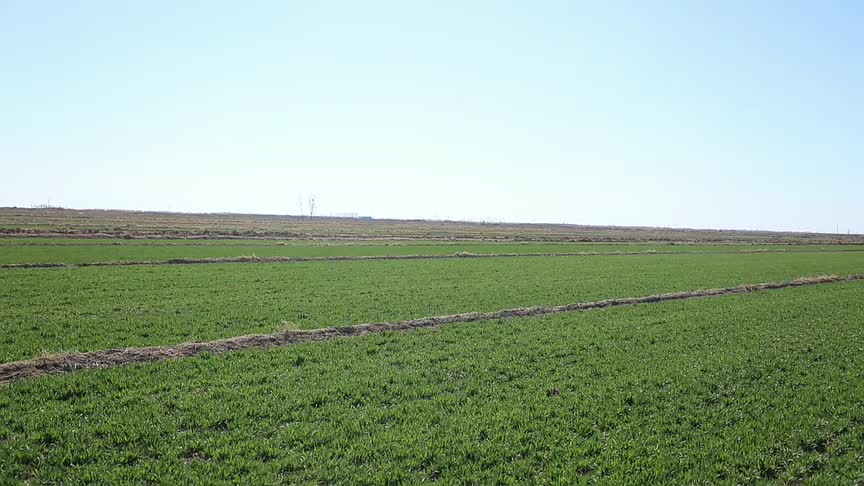 东营市河口区开展冬春大培训助推夏粮增产丰收