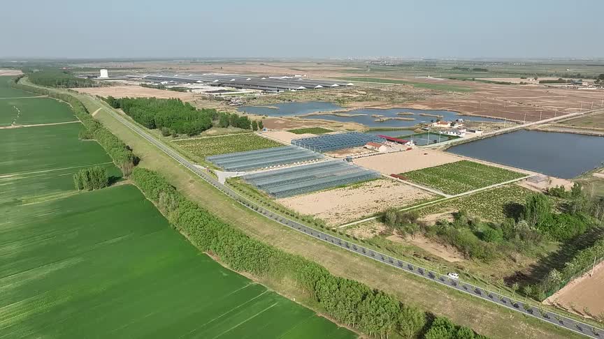 东营市垦利区董集镇:设施农业"棚"勃发展 奏响夏日强村富民曲