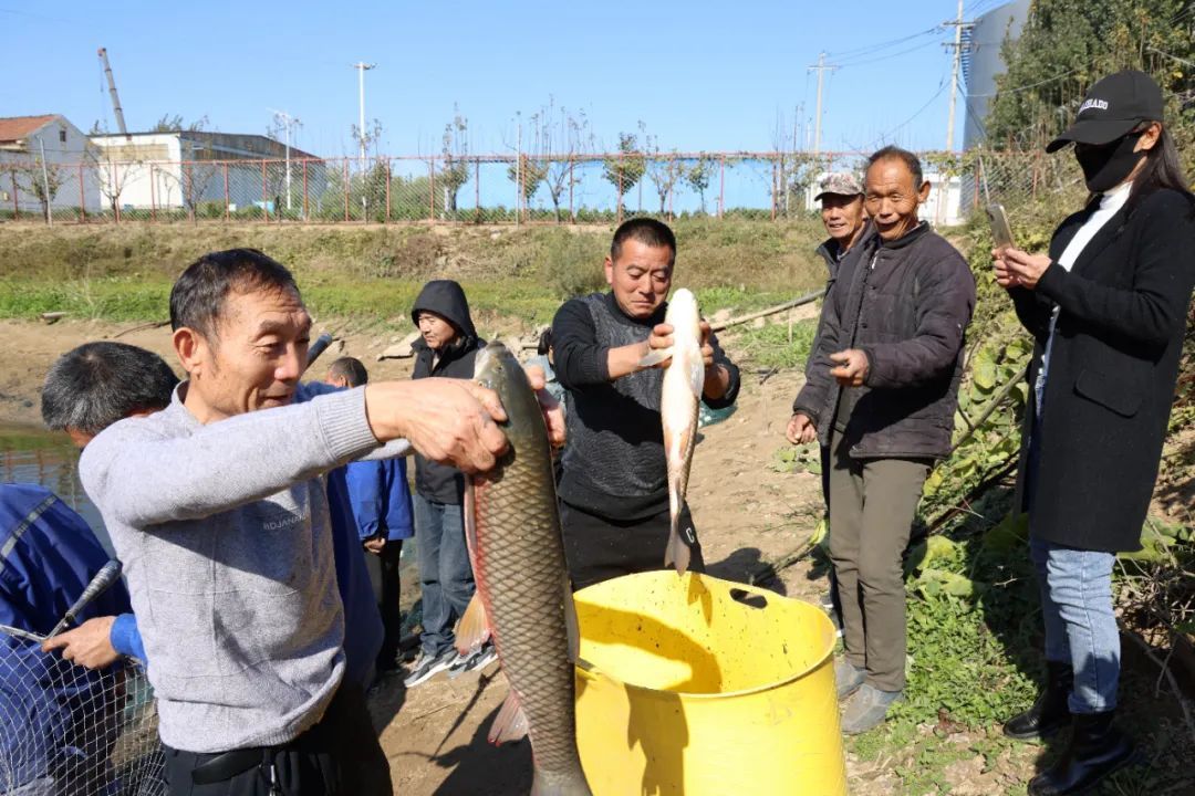 鄒平市：“灣塘經(jīng)濟”見效益 魚躍人歡好“豐景”